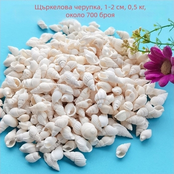 Черупкови декорации за аквариум – естествени морски черупки, морски стил, бионична изработка (Материал: Черупки; Стил: Морски; Занаят: Напълно естествен; Производствен процес: Бионичен; Приложения: фотостудио реквизит, изображения за аквариум)