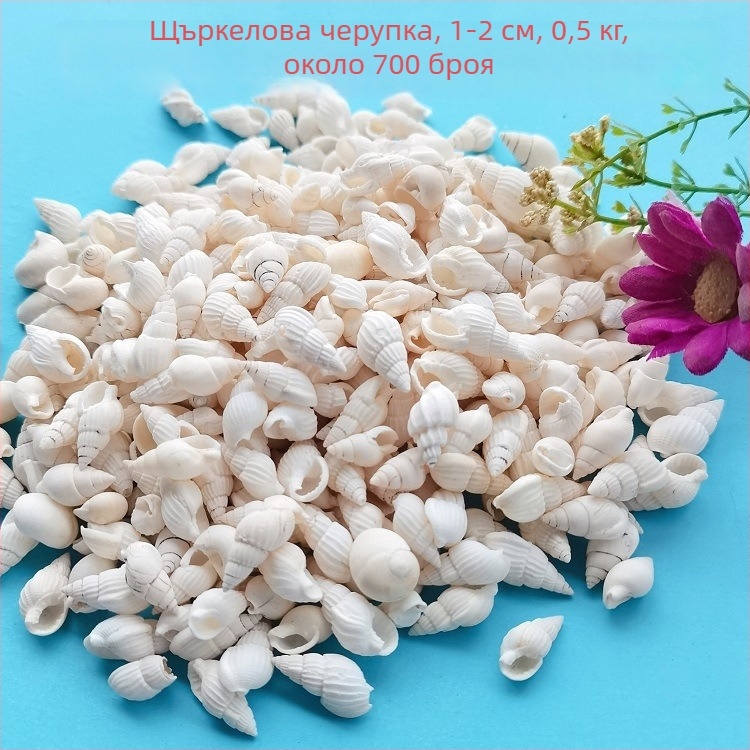 Черупкови декорации за аквариум – естествени морски черупки, морски стил, бионична изработка (Материал: Черупки; Стил: Морски; Занаят: Напълно естествен; Производствен процес: Бионичен; Приложения: фотостудио реквизит, изображения за аквариум)