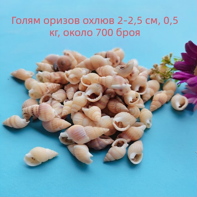 Черупкови декорации за аквариум – естествени морски черупки, морски стил, бионична изработка (Материал: Черупки; Стил: Морски; Занаят: Напълно естествен; Производствен процес: Бионичен; Приложения: фотостудио реквизит, изображения за аквариум)