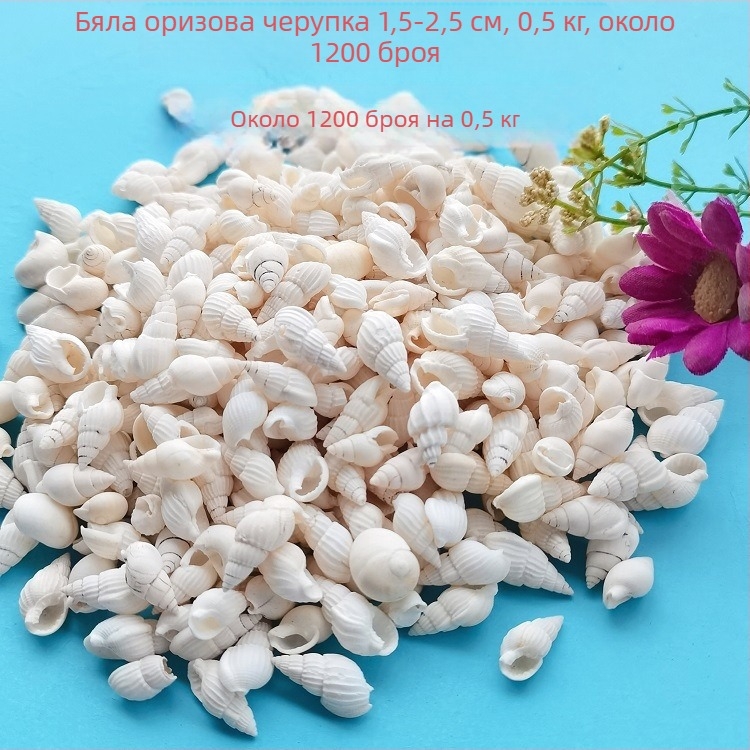 Черупкови декорации за аквариум – естествени морски черупки, морски стил, бионична изработка (Материал: Черупки; Стил: Морски; Занаят: Напълно естествен; Производствен процес: Бионичен; Приложения: фотостудио реквизит, изображения за аквариум)