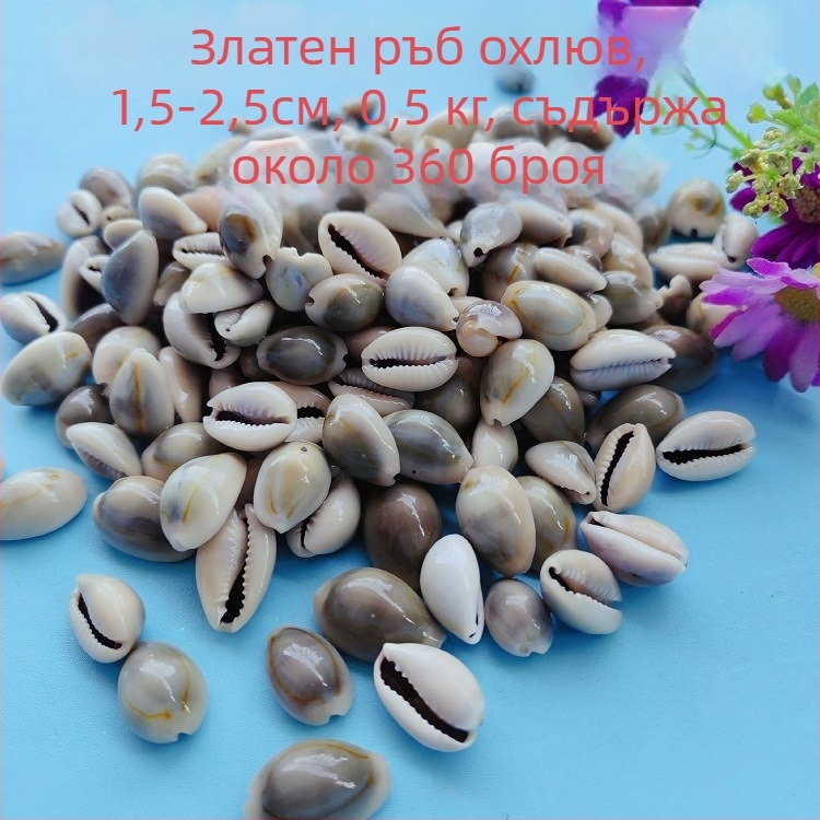 Черупкови декорации за аквариум – естествени морски черупки, морски стил, бионична изработка (Материал: Черупки; Стил: Морски; Занаят: Напълно естествен; Производствен процес: Бионичен; Приложения: фотостудио реквизит, изображения за аквариум)