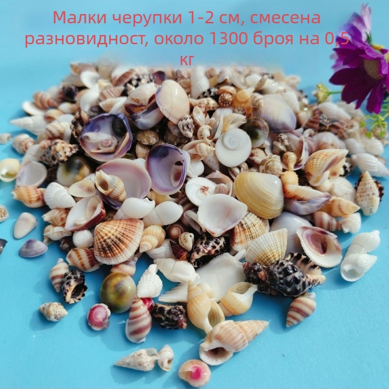 Черупкови декорации за аквариум – естествени морски черупки, морски стил, бионична изработка (Материал: Черупки; Стил: Морски; Занаят: Напълно естествен; Производствен процес: Бионичен; Приложения: фотостудио реквизит, изображения за аквариум)