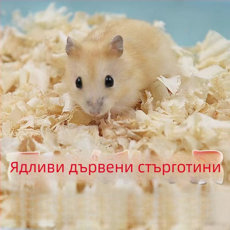 Комплект за хамстери: пълен пакет храни и лакомства за начинаещи | Храна за домашни любимци, Марка: Друга, Без внос