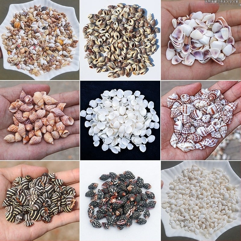 Мини бутилка дрифт с черупка от морски охлюв - естествен материал, ръчно изработен мини микропейзаж за декорация, средиземноморски стил (Материал: Черупка, Морски охлюв; Стил: Средиземноморски; Изработка: Натурална; Код на продукта: Mini Small Sea Snail)