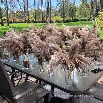 Сушени цветя – реквизит за фотография в INS стил, марка Brightness, разновидност 3332590, материал: сушени цветя, процес: Друг, използване: сватба/на открито/реквизит за снимки