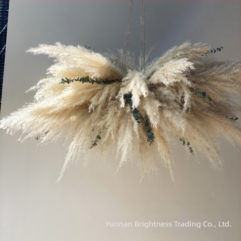 Сушени цветя – реквизит за фотография в INS стил, марка Brightness, разновидност 3332590, материал: сушени цветя, процес: Друг, използване: сватба/на открито/реквизит за снимки