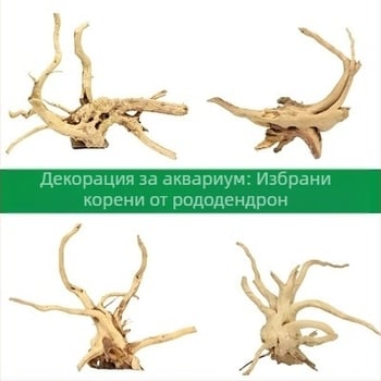 Комплект за декорация на аквариум: дрифтово дърво, корен от азалия, мъх и водни растения за оформление на аквариума