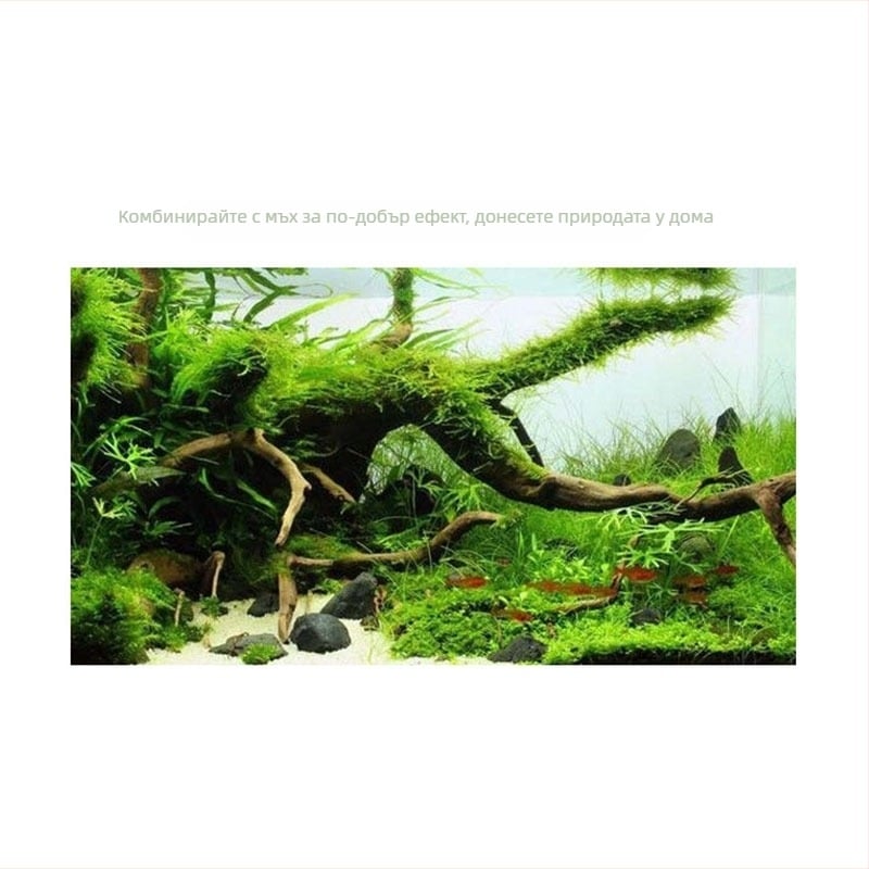 Комплект за декорация на аквариум: дрифтово дърво, корен от азалия, мъх и водни растения за оформление на аквариума