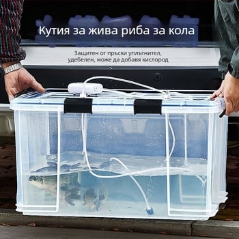 Пластмасова запечатана кутия за пренос на живи риби, за риболов на открито, голям капацитет, кислородирана за транспортиране на морски дарове и водни продукти