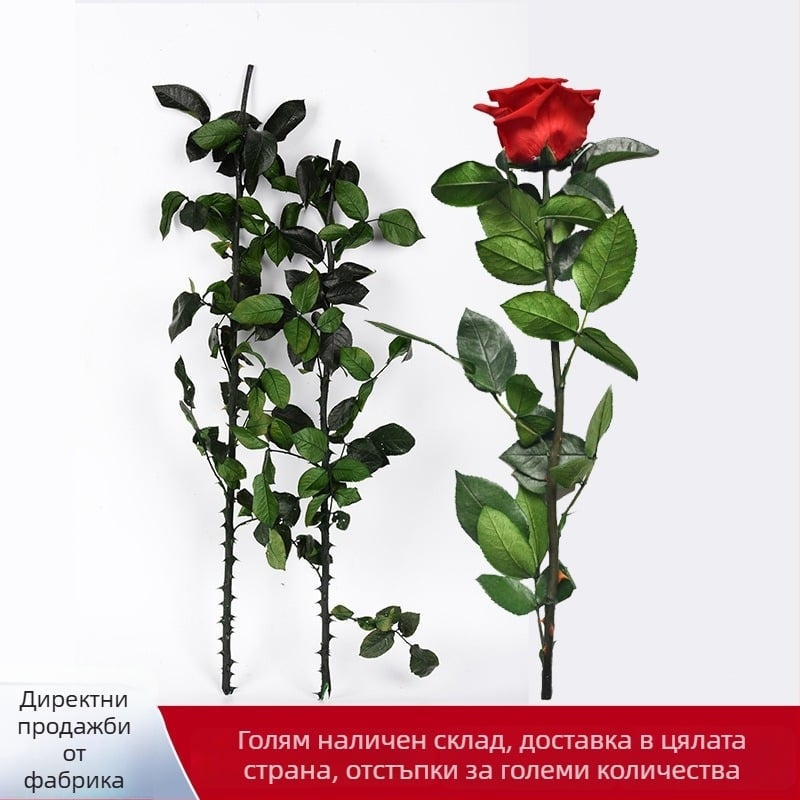 Безсмъртни розови клонки дълги 60–70 cm, стъклен купол Малкият принц, материал за аранжиране на цветя DIY