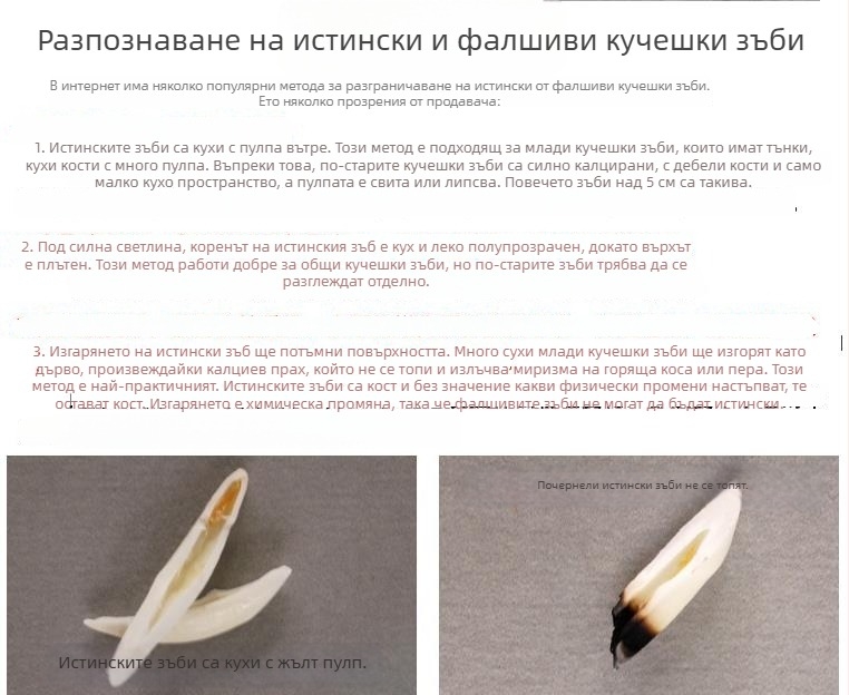 Истински черен кучешки зъб — висящ амулет с зъб на вълк и зъб на тибетски мастиф, етно стил колие за мъже и деца