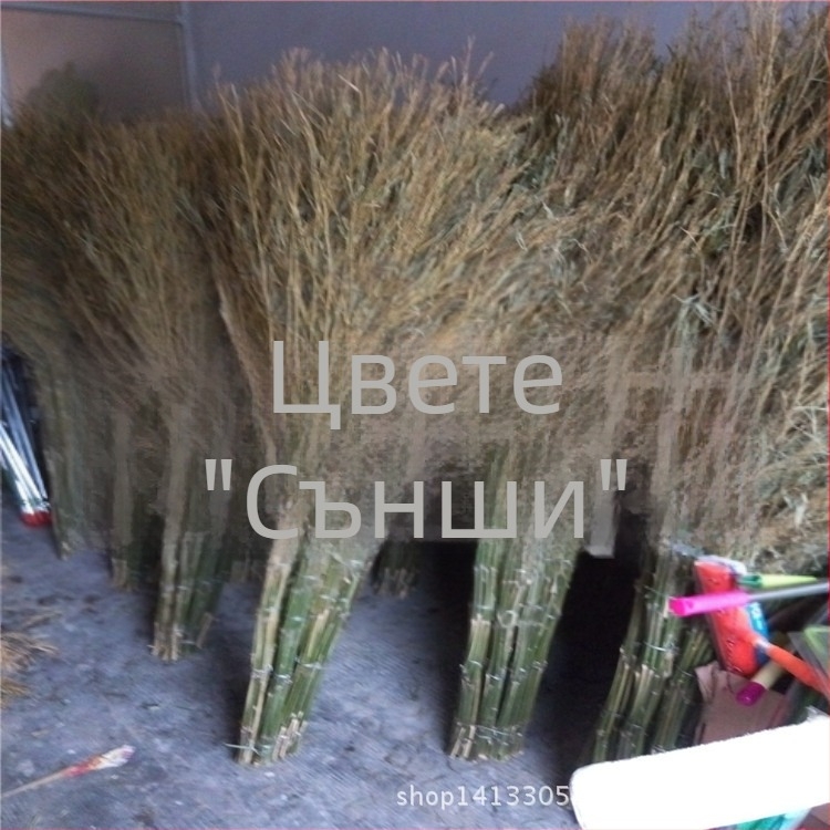 Голям метла с бамбукова дръжка за почистване на улици, санитарни и училищни нужди