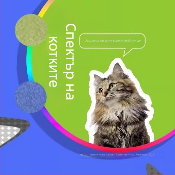 Котешки тунелен дом от фелт с интегрирано спане и игра, дъска за драскане, устойчива на износване и без отпадане на влакна