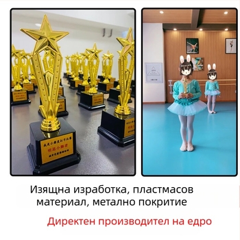 Трофей за множество конкурси: танц, музика, водеща роля, абакус и умствено смятане, състезания с балансова кола и други конкурси