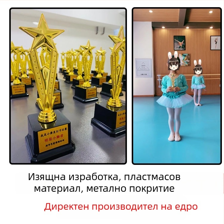 Трофей за множество конкурси: танц, музика, водеща роля, абакус и умствено смятане, състезания с балансова кола и други конкурси