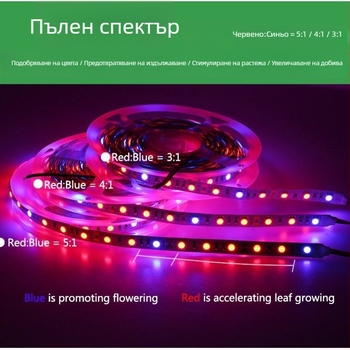12V LED лента за растеж на растения, 5050 диоди, неводоустойчива, дистанционно димиране, 120° лъчение, CRI 70, за цветя и зеленчуци