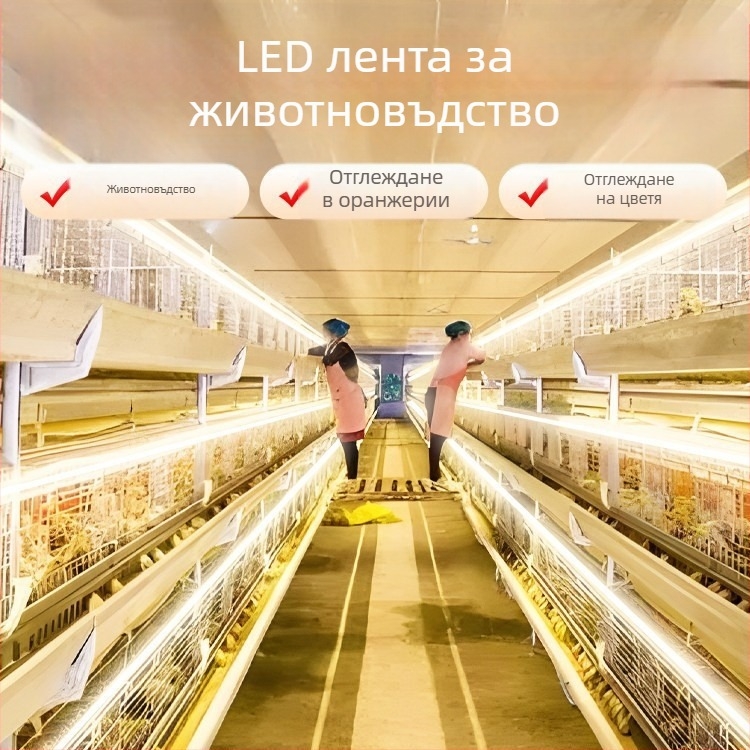 LED лента за ферми, външна водоустойчива 220V, ултраярко осветление за кокошарници и оранжерии