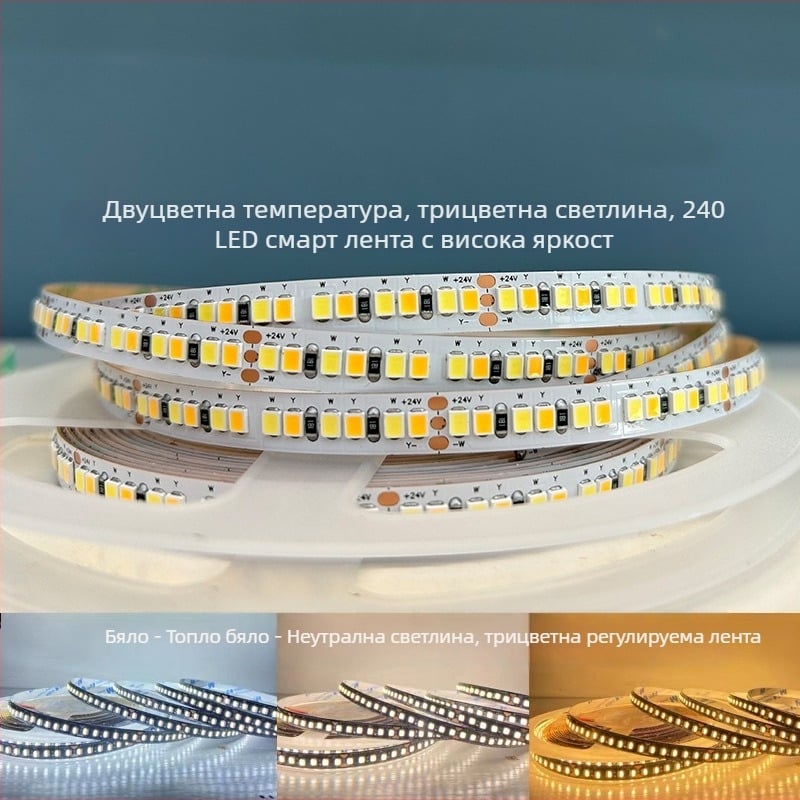 24V нисковолтажна LED лента с 240 диода, двуцветна температура и триецветно осветление, интелигентно димиране и настройка на цвета чрез смарт система