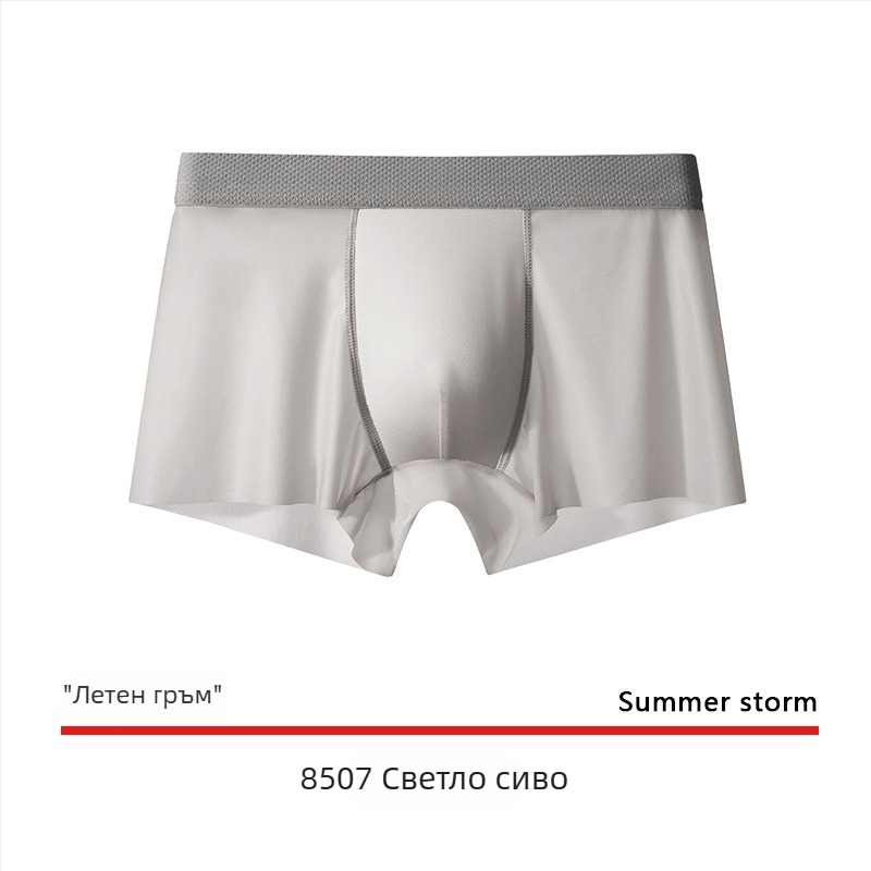 Мъжки боксерки от ice silk, ултра тънки, бързосъхнещи, дишащи, безшевни, голям размер, едноцветни
