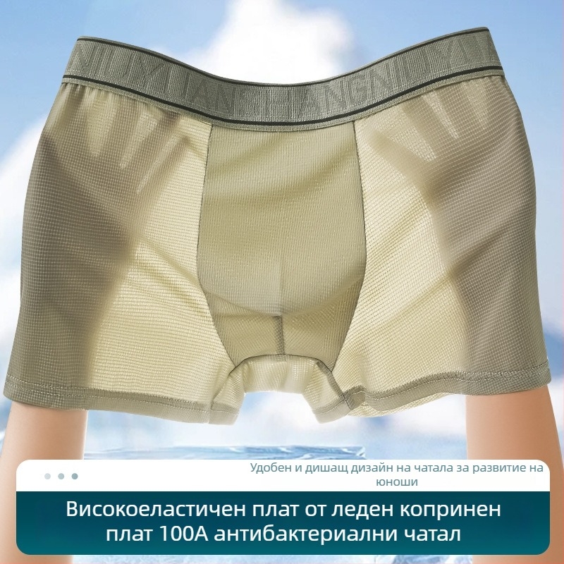 Мъжки боксерки Ice Silk, антибактериални и дишащи, бързосъхнещи