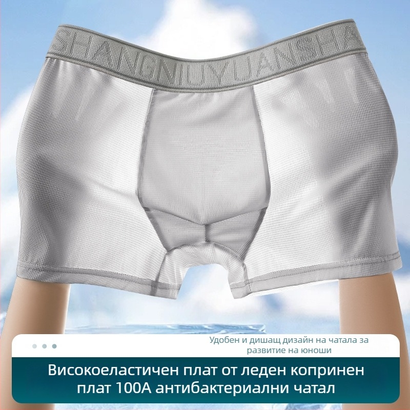 Мъжки боксерки Ice Silk, антибактериални и дишащи, бързосъхнещи