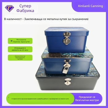 Винтажна кутия от ламарина със заключване за бюро, за съхранение на бижута и козметика, квадратна метална кутия с персонализиран дизайн. Модел XLL-25422. Размери 17.5 × 7.5 × 13 cm