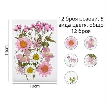 Forget-me-not изсушени цветя - комплект за пресовани флорални изделия и стенна декорация, вакуумно опаковано