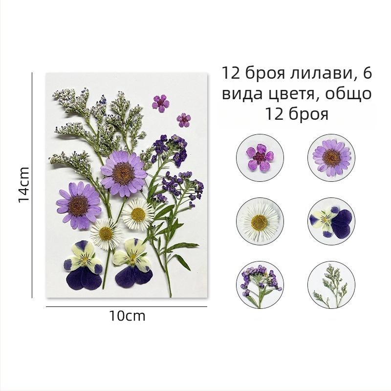 Forget-me-not изсушени цветя - комплект за пресовани флорални изделия и стенна декорация, вакуумно опаковано