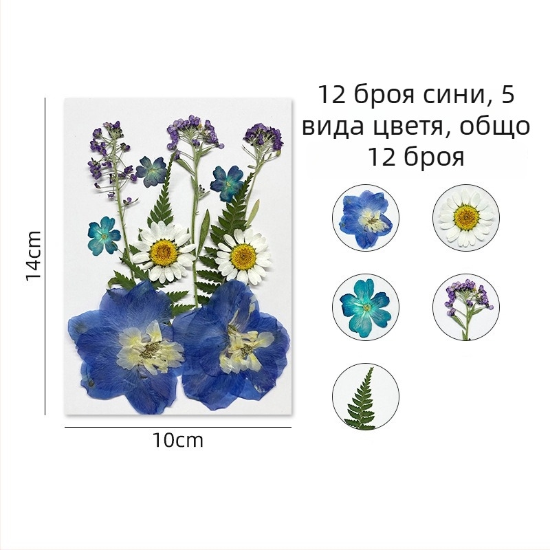 Forget-me-not изсушени цветя - комплект за пресовани флорални изделия и стенна декорация, вакуумно опаковано