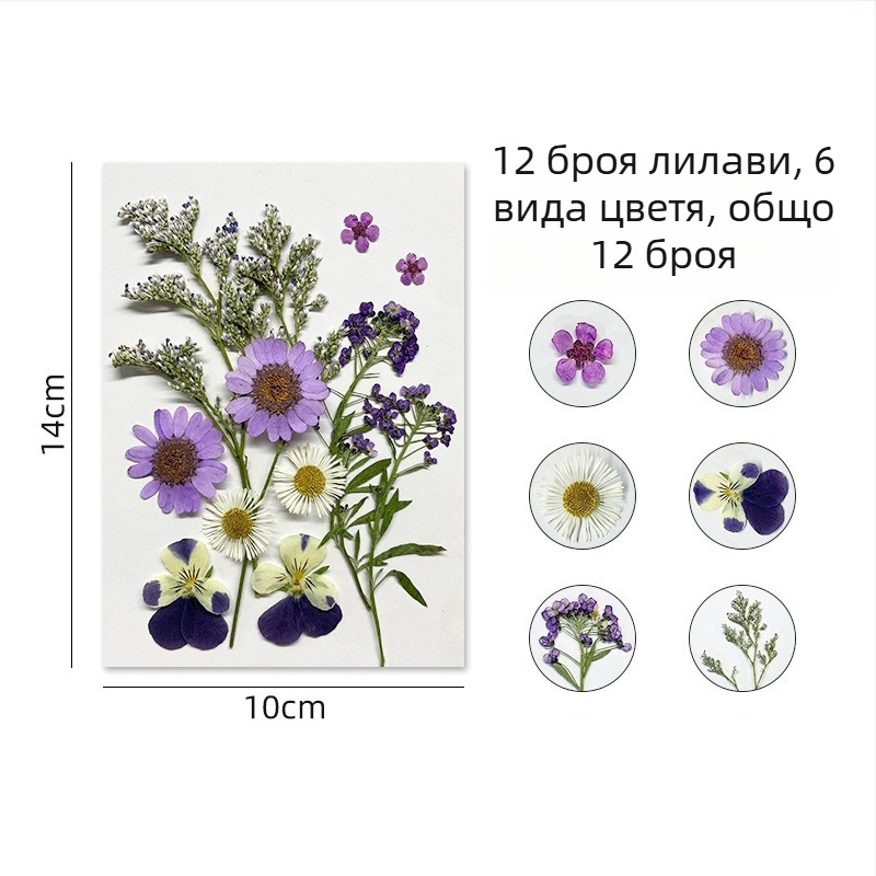 Forget-me-not изсушени цветя - комплект за пресовани флорални изделия и стенна декорация, вакуумно опаковано