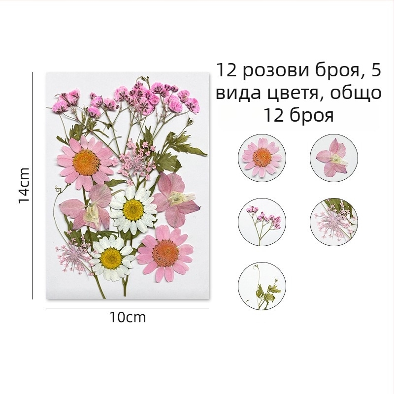 Forget-me-not изсушени цветя - комплект за пресовани флорални изделия и стенна декорация, вакуумно опаковано