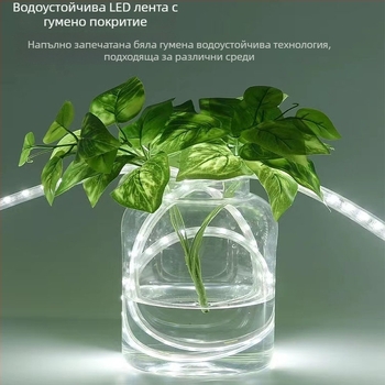 LED лента с ниско напрежение 24V/36V, висока яркост 2835, двойна редица, външна водоустойчива, подходяща за тунели, мини и кранове — атмосферно осветление