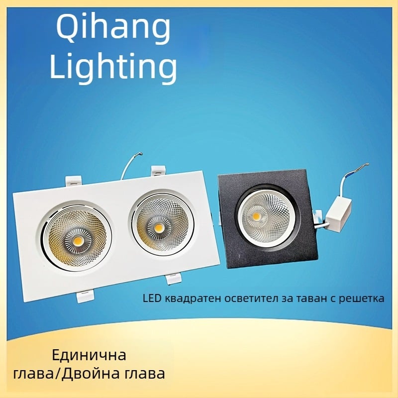 LED двойноглавен прожектор със решетка, правоъглен вграден таванен светлинник 10x20
