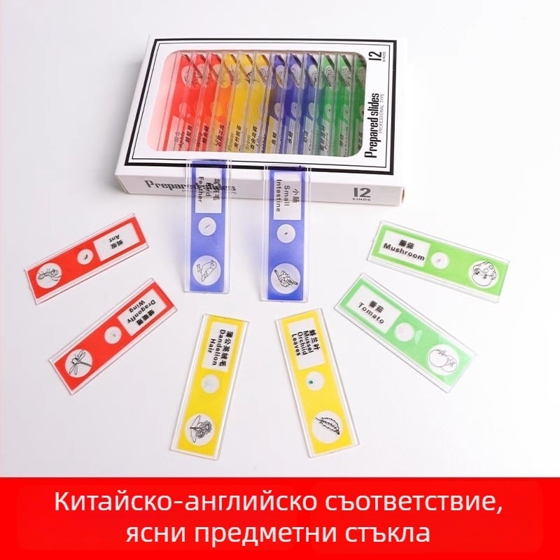 Пластмасови микроскопски стъкла със зоологически и ботанически образци за деца – насекоми и растения