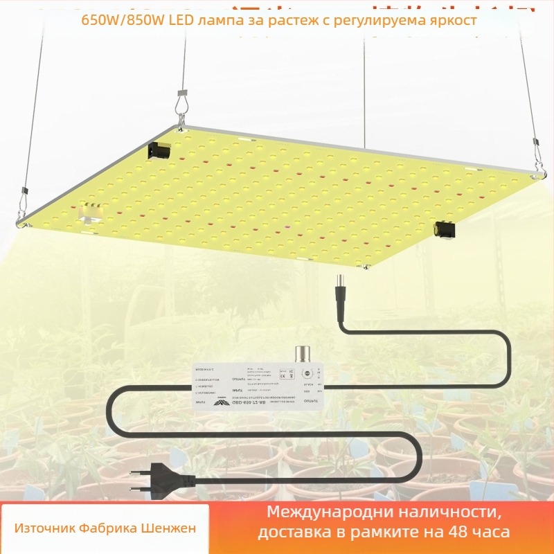 Регулируема LED светлина за растеж на растения 650W–1500W, квантова допълваща светлина за сукуленти и разсад