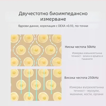 S400Pro везна за телесни мазнини – умна, прецизна домашна везна за отслабване за жени