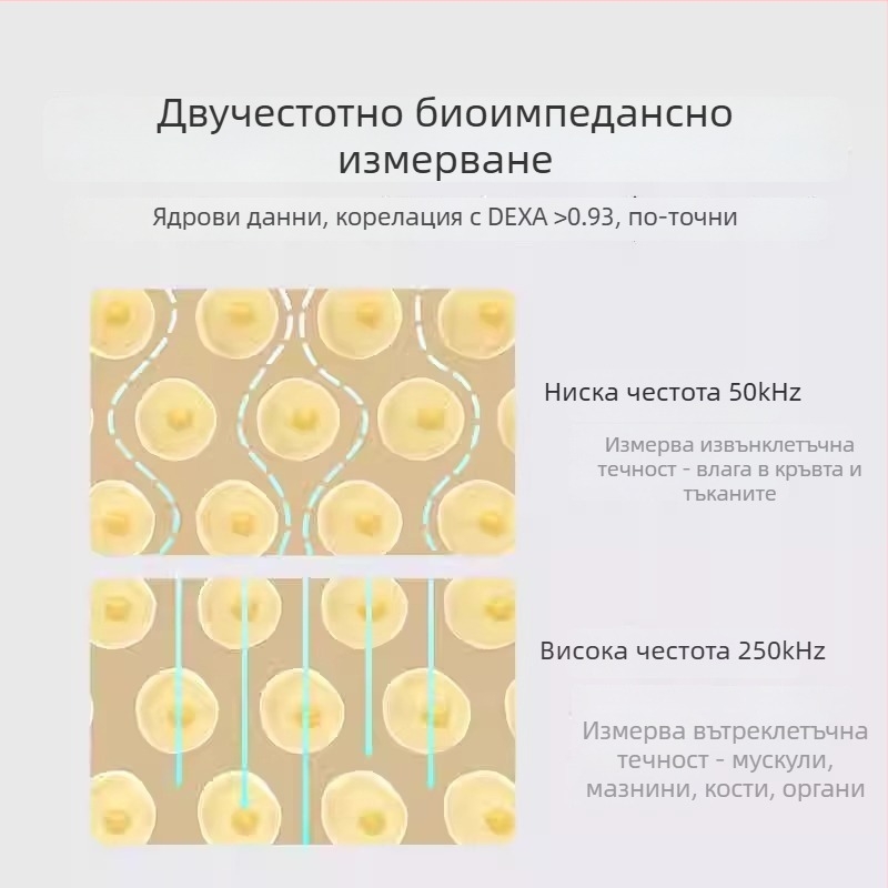 S400Pro везна за телесни мазнини – умна, прецизна домашна везна за отслабване за жени
