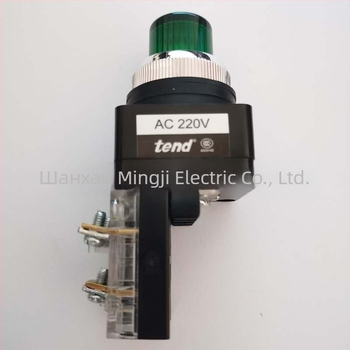 Tiande TIBN-252-G / TIBN-302-G бутонен превключвател, 220V AC, зелена изпъкнала глава