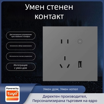 Graffiti Zigbee стенен смарт контакт с 86-тип заден корпус, гласово и мобилно дистанционно управление