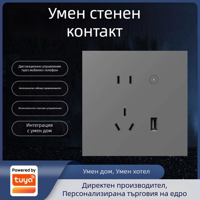 Graffiti Zigbee стенен смарт контакт с 86-тип заден корпус, гласово и мобилно дистанционно управление