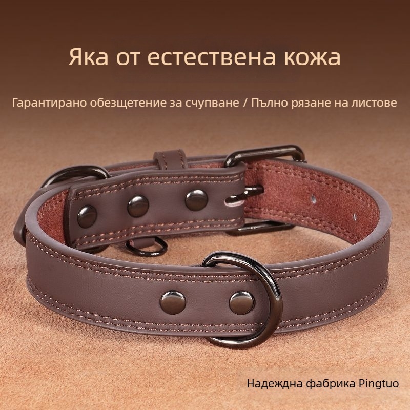 Гравирана каишка за кучета с табелка и камбанка, против загуба, за малки, средни и големи породи