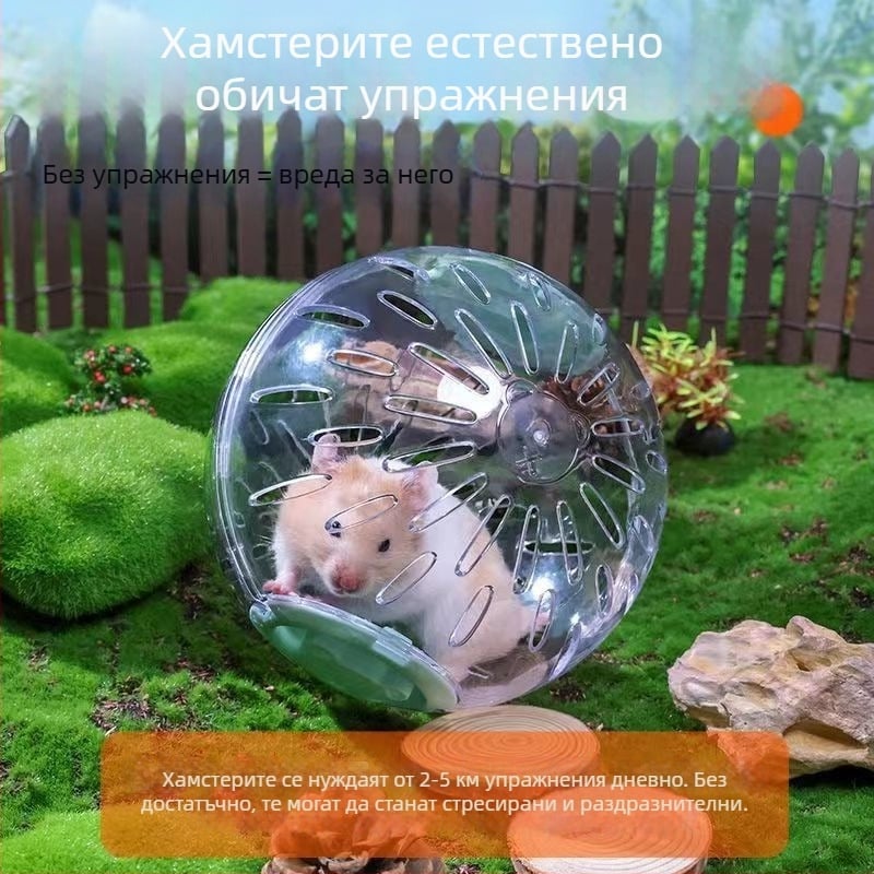 Хамстерска топка за тичане – безшумна тренировка, облекчава скуката, голяма външна топка