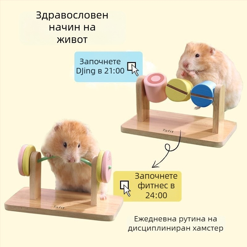 Дървена играчка за хамстери: диск за упражнения и забавление – подходяща за златист хамстер
