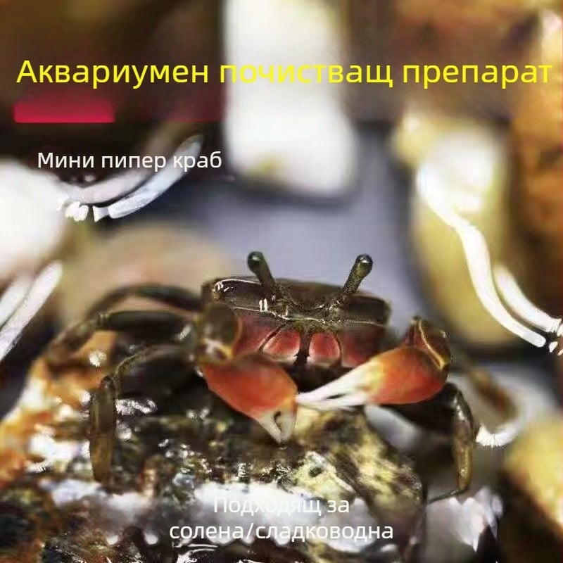 Уред за почистване на аквариум за декоративни раци — премахване на водорасли и отпадъци в пресноводен аквариум