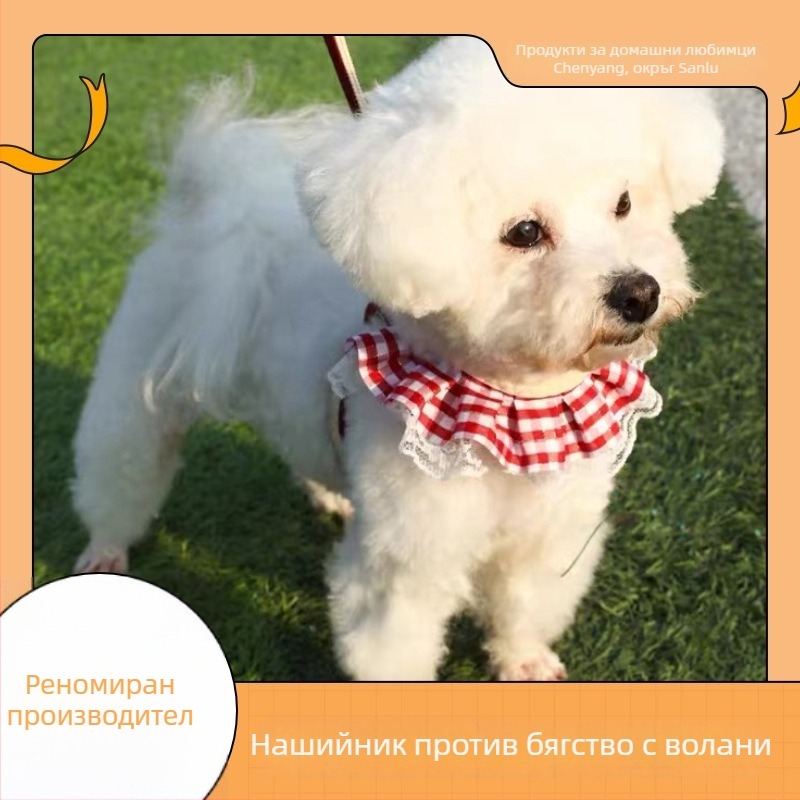 Комплект каишка и нагръдник за малки кучета с дантелен дизайн