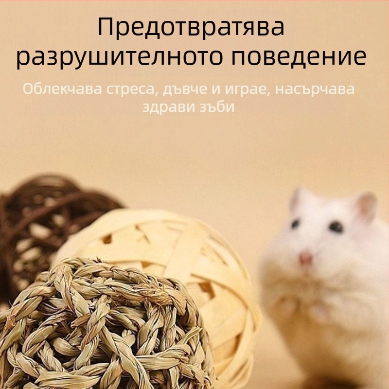 Хамстер и чинчила – тревна дъвчаща топка за гризане, ръчно изработено тревно гнездо и плетена топка за хранене с морков и водни растения