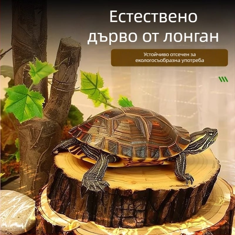 Естествено дърво лонган за костенурка — платформа за слънчево излагане и декоративно дрейф дърво за аквариум