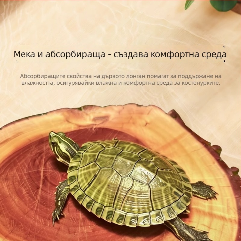 Естествено дърво лонган за костенурка — платформа за слънчево излагане и декоративно дрейф дърво за аквариум