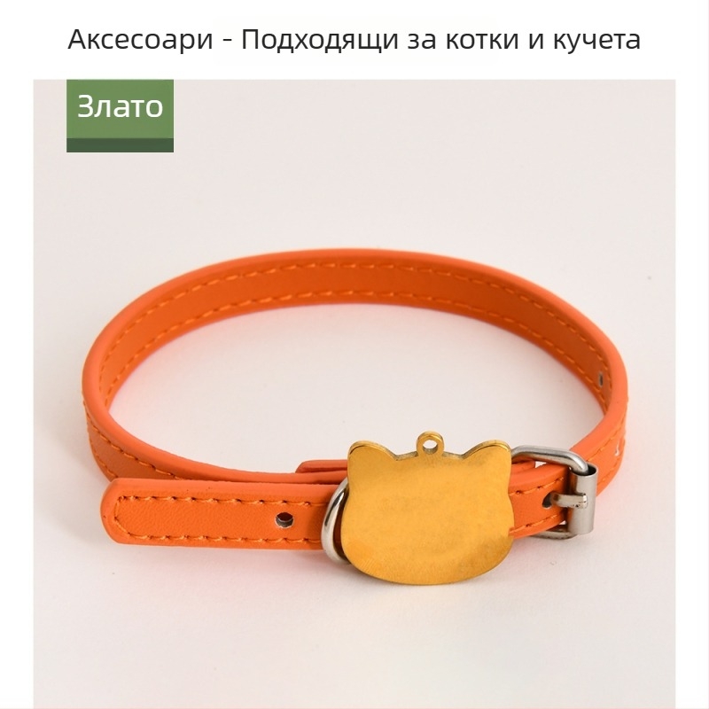 Външни аксесоари за домашни любимци: персонализирани табелки за идентификация под формата на кост за нашийници