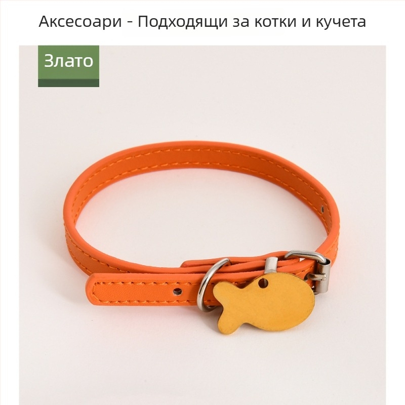 Външни аксесоари за домашни любимци: персонализирани табелки за идентификация под формата на кост за нашийници